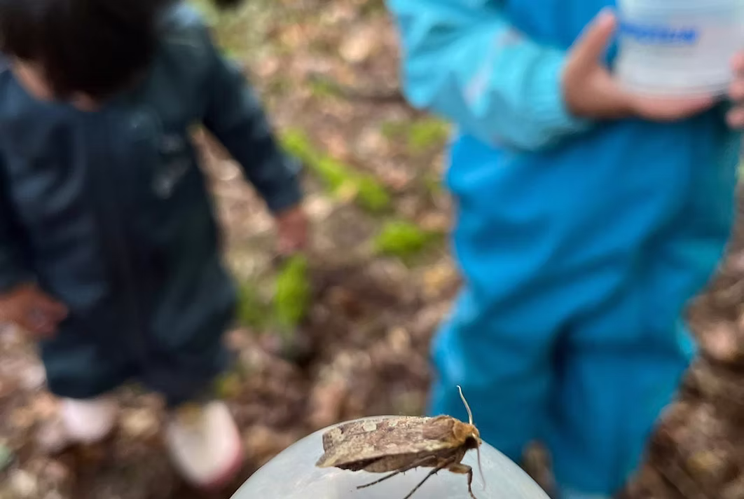 Einblicke in die Natur- und Experimentierangebote von Lab4Kids